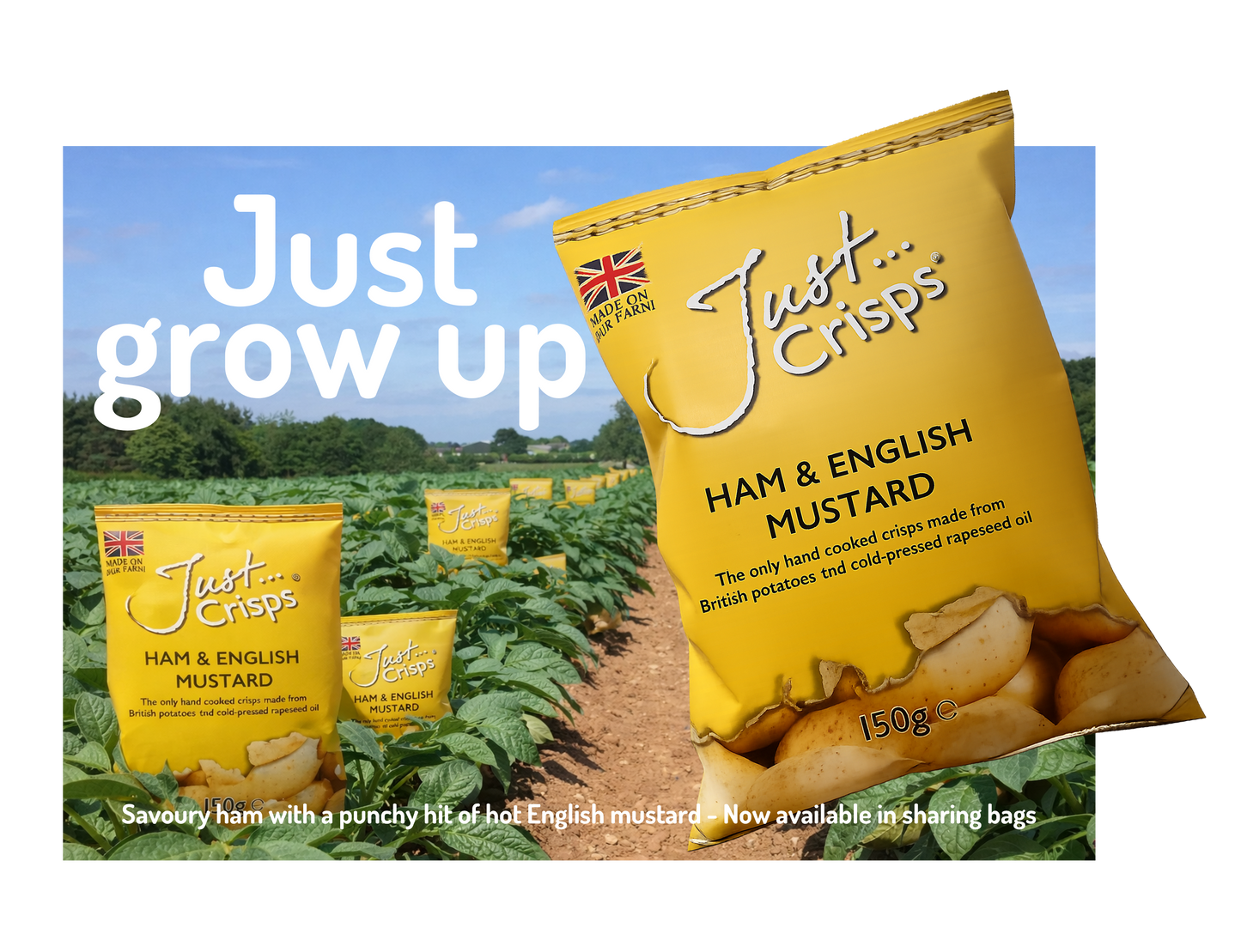 Ham & English Mustard Crisps 150g (Case of 12)