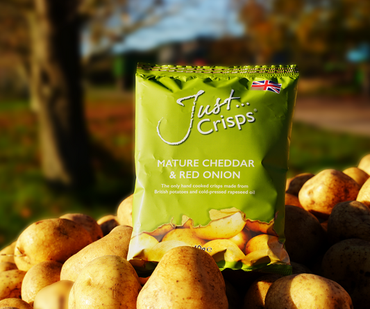 Mature Cheddar and Red Onion Crisps 40g (Pack of 24)